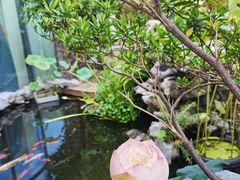 -道南書院·私房菜·早午茶·茶馆