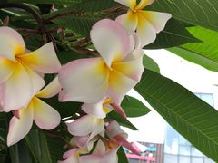 -布吉佳兆业广场