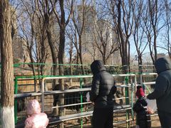 -长白岛森林公园