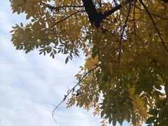 -后海公园