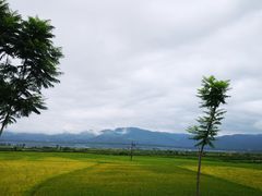 -打洛口岸