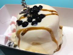 黑糖珍珠梳乎厘-狐狸和向日葵(北京路店)