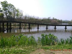 -白鹭湾湿地公园