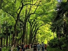 -采石矶景区