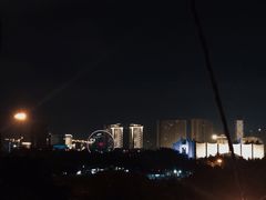 -万绿园