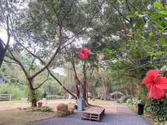 -梧桐山风景名胜区