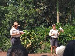 -可伦宾野生动物保护区