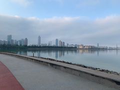 -万绿园