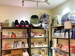 -柚子猫舍·精品猫舍购猫·猫咪认养·购宠·宠物店