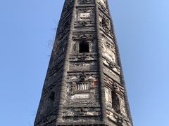 -上海佘山国家森林公园天马山园