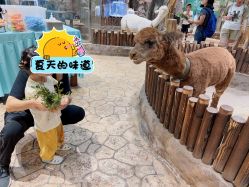 -宝燕乐园(闵行旗舰店)