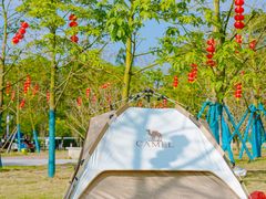 -露天矿生态公园