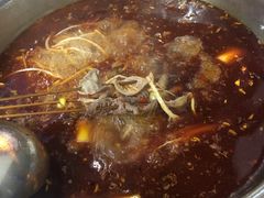 -水碾河肥兔火锅(水碾河店)
