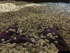 -沐槿宫韩式汗蒸水汇(马群店)