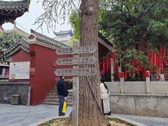 -长春观