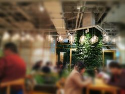 -悦诗风吟innisfree