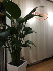 点击看大图 -FineYoga梵音瑜伽·普拉提
