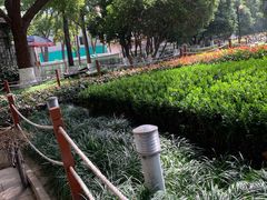 -昆山城市生态森林公园