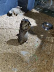 -酷嗒动物文化乐园(cutezoo西溪乐天城店)