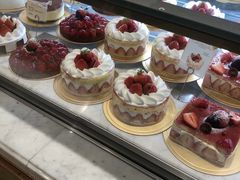 -乐天免税店(明洞店)
