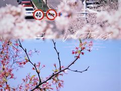 -幕燕滨江·燕子矶公园