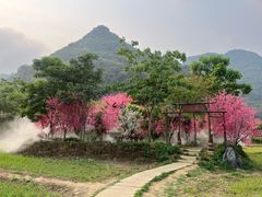 -靖西鹅泉风景区