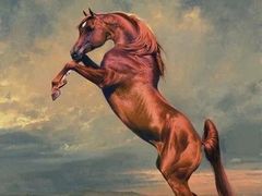 -信马画室 成人零基础到个人创作画室(亚运村店)