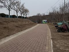 -白水寺森林公园