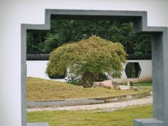 -扬州大运河文化旅游度假区·盆景园