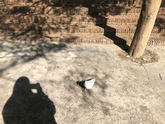 景点-田野绿世界