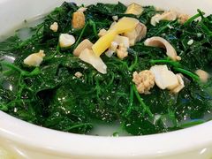 草菇煮绿线叶-区海鸡场饭店(石壁店)