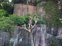 -广州莲花山旅游区