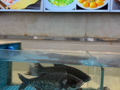 -一家春酒楼(惠工街店)