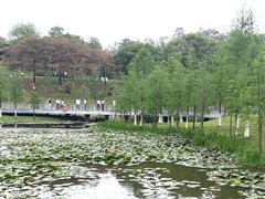 -东莞植物园