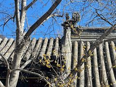 -潭柘寺景区
