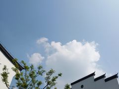 -长兴慧子土特产茶行