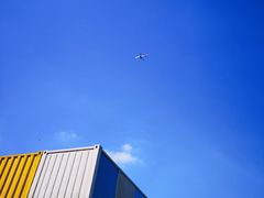 -春花秋色城市公园