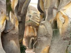 -杭州开元森泊度假乐园