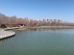 -塘沽森林公园