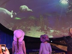 -悉尼海洋生物水族馆