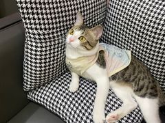 -谜盒子奇幻密室(南屏店)