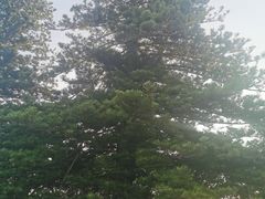 -Takapuna Beach Cafe