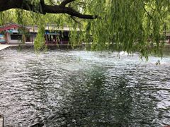 -百脉泉景区