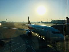 -厦门高崎国际机场-T3航站楼