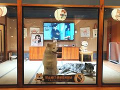 -大江户·温泉洗浴(浑南店)