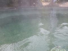 -仁爱团泊湖温泉中心