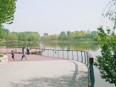 -东郊湿地公园