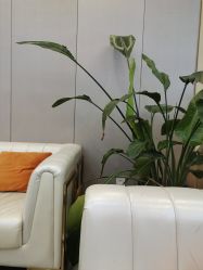 -痘院长·祛痘·皮肤管理