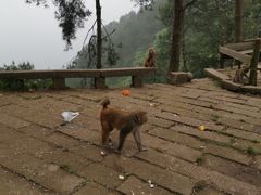 -重庆雨台山风景区