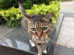 -苏州河梦清园环保主题公园